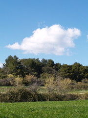 Obraz premium ciel provence