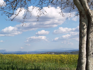 ciel provence