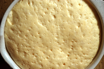 yeast dough growing