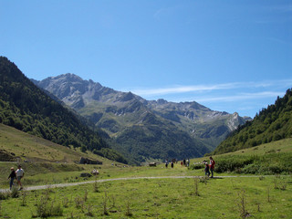 Fototapeta na wymiar Vallée d'Ossau - Pyrénées