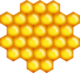 little honey bee comb