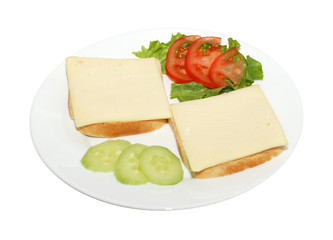 Fototapeta na wymiar sandwich on a plain background