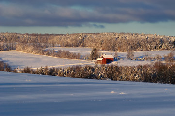 Winter Rural Landscape