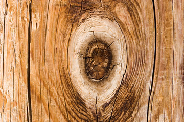 Fototapeta premium Wood detail