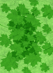 leaves in green