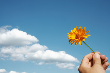 Flower in hand