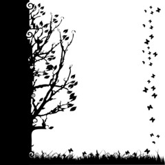 Naklejka premium Tree silhouette old, season, white and black background