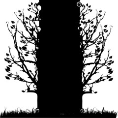 Tree silhouette old, season, white and black background