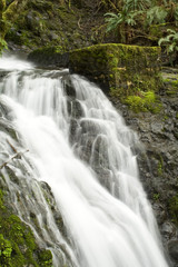Fototapeta na wymiar Oregon Waterfall