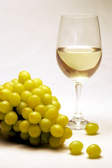 White Wine Grapes
