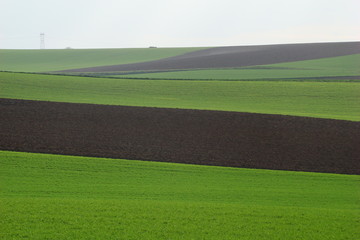 Champ cultivé dans l'Aisne, Picardie