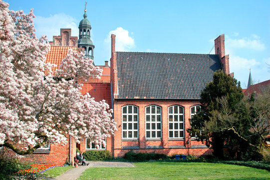 magnolie rathaus l&uuml;nebur