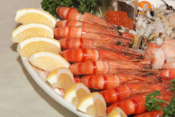 hummerkrabben platte