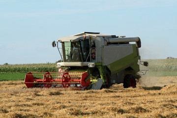 Fototapeta premium Mähdrescher