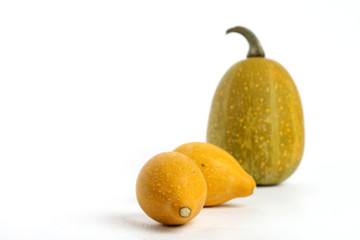 Squash isolated on white