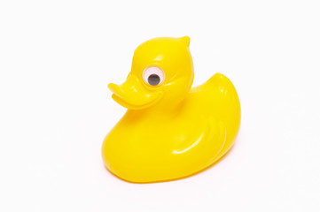 yellow duck