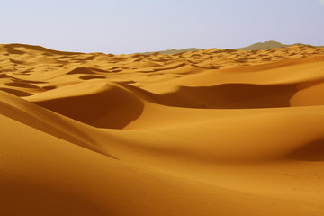 Fototapeta na wymiar Wydmy w Saharze