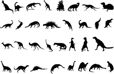 Vector silhouettes