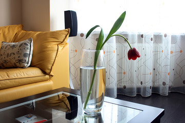 Red tulips on a table of glass in bright living room