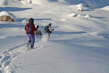 Course en raquettes