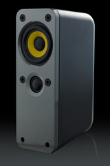 Obraz premium Speaker