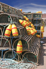 Lobster Traps