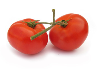 Two tomatoes connected 