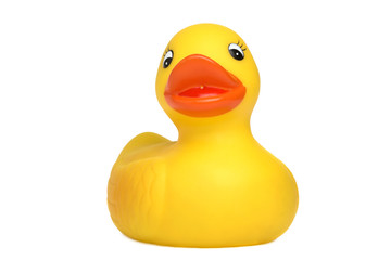 rubber ducky  clipping path included