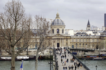 Fototapeta premium france; Paris; view of the Pont des arts ( the bridge of the art