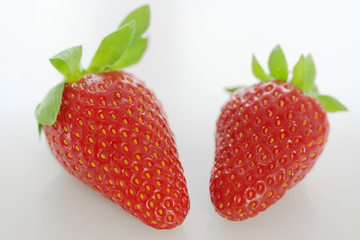 fraises