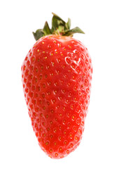Big strawberry