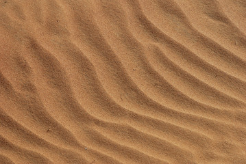 Desert