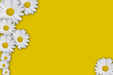 Cornice di margherite © clabert