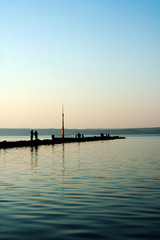 Obraz premium Mole with Humans