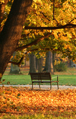 A bench in the park 