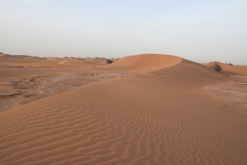 Fototapeta na wymiar Dunes du Sahara marocain