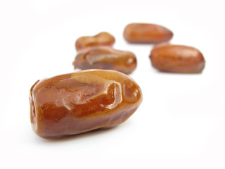 Dates palm isolated on white background