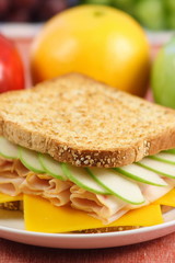 fresh and healthy sandwich