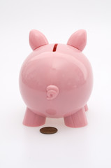 Piggy Banking Pooping a Penny