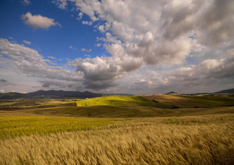 Paesaggio primaverile