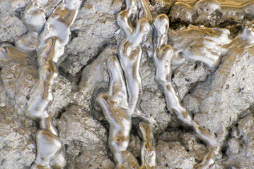 Frozen silvery alloy