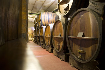 Argentina Wine Cellar