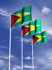 Guyana flag