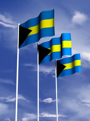 Bahamas flag