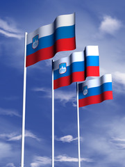Slovenian Flag