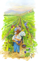 Naklejka premium Vintagers on the Vineyard. Grape harvest landscape. Vertical watercolor illustration.