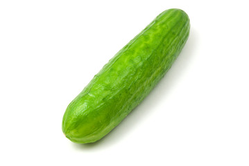 fresh cucumber