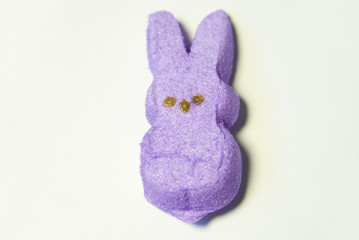 single marshmallow bunny © Renee Woodward