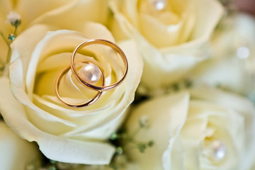 Wedding rings (close-up)