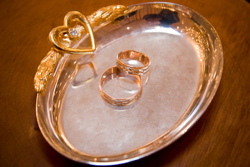 Wedding rings (close-up)
